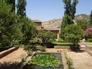 Espagne (اسبانيا) - Jardins (حدائق) - Grenade (غرناطة) - Palais de l'Alhambra (...)