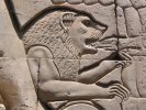 Egypte (مصر) - Époque ptolémaïque (-332 à -31) (عهد البطالمة) - Temple double de (...)