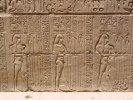 Egypte (مصر) - Époque ptolémaïque (-332 à -31) (عهد البطالمة) - Temple (...)
