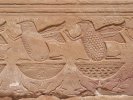 Egypte (مصر) - Époque romaine (-31 à 395) (العهد الروماني) - Temple d'Amon, (...)