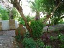 Maroc (المغرب) - Jardins (حدائق) - Tanger (طنجة) - Jardin du palais de Moulay (...)