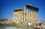 Syrie (سورية) - Sites antiques (مواقع أثرية) - Le Désert (الصحراء) - Palmyre (...)