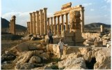 Syrie (سورية) - Sites antiques (مواقع أثرية) - Le Désert (الصحراء) - Palmyre (...)