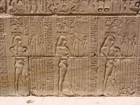 Egypte (مصر) - Époque ptolémaïque (-332 à -31) (عهد البطالمة) - Temple d'Horus (...)