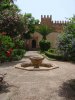 Maroc (المغرب) - Jardins (حدائق) - Rabat (الرباط) - Jardin des Oudayas (حديقة (...)